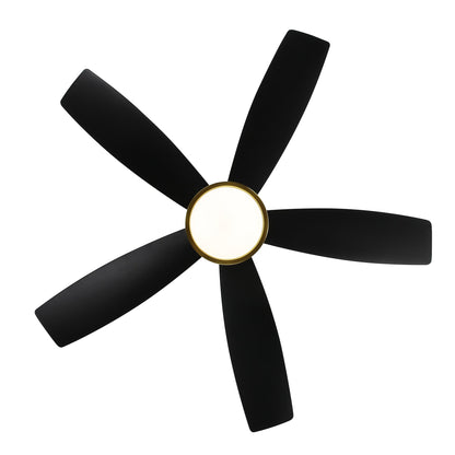 Breezary 65/52/42 5-Blade LED Ceiling Fan with Light Kit and Remote