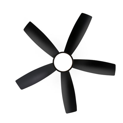Breezary 65/52/42 5-Blade LED Ceiling Fan with Light Kit and Remote