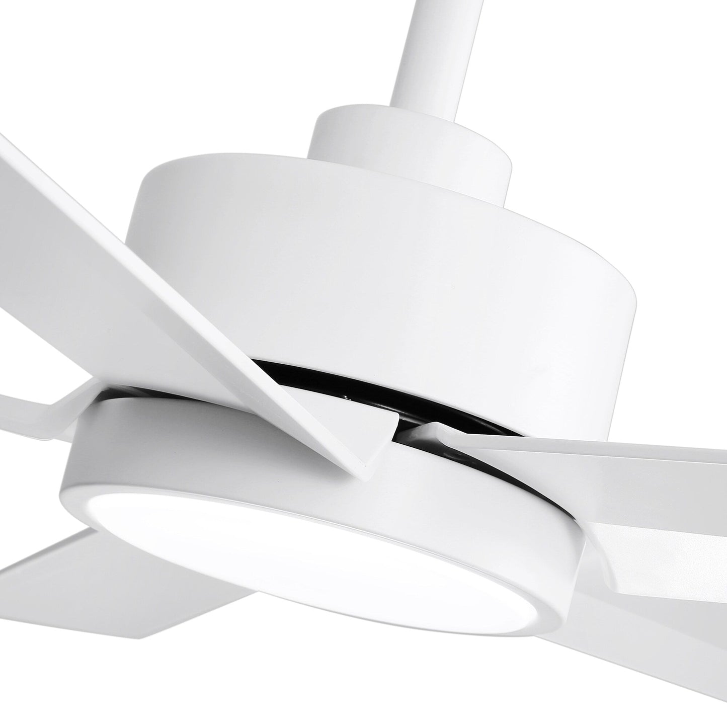 Breezary 65/52/42 5-Blade LED Ceiling Fan with Light Kit and Remote