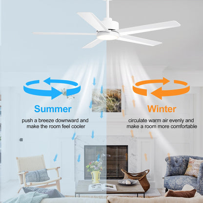 Breezary 65/52/42 5-Blade LED Ceiling Fan with Light Kit and Remote