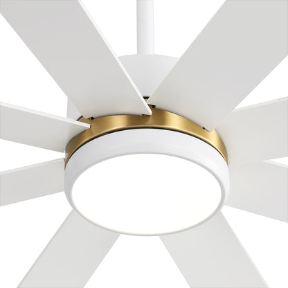 65 Inch 8-Blade Black LED Ceiling Fan with Light and Remote