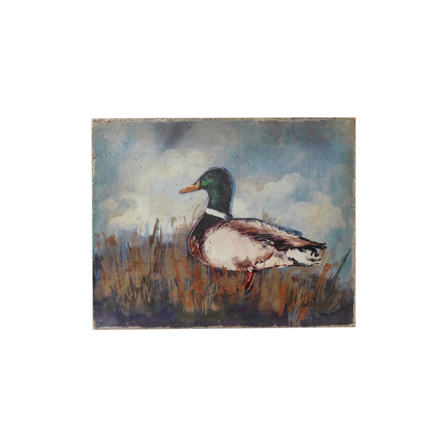 Mallard Duck on Canvas