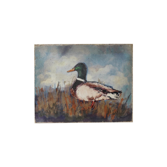 Mallard Duck on Canvas