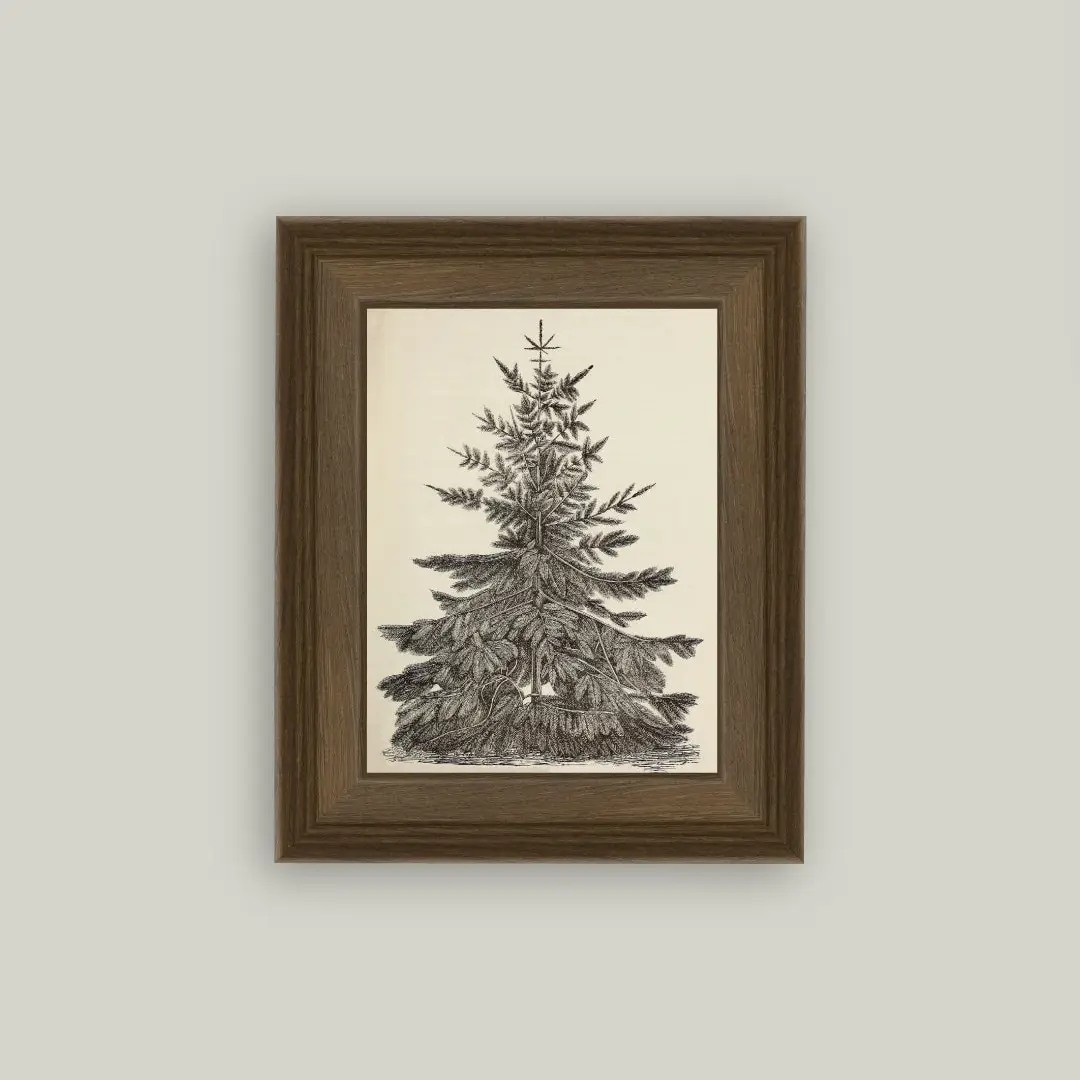 Vintage Pine Tree Framed Art - pine wood